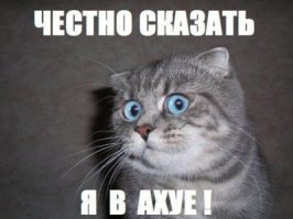 Таксист из Багдада обтянул салон автомобиля защитной пленкой