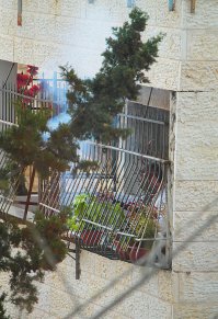 Да, у нас вот тоже соседи - любители шашлыка. Завтра Праздник начинается, вечером хала-мёдо-ябло-мёд, а в четверг уже дымком потянет.