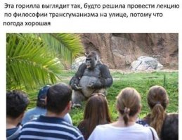 Горилла как бэ говорит...