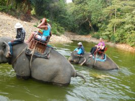 Сказка наяву...