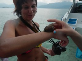 Сказка наяву...