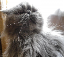 Да ладно, вот что было модно ;)