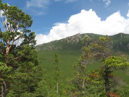 Я как то больше по такой.
PS фото мои
PSS бухта Песчаная (материковая) озеро Байкал