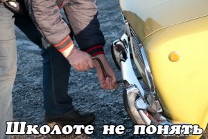 Автовсячина