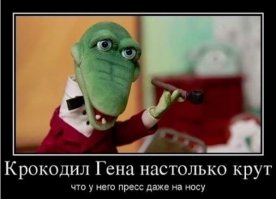 Да я уже сто раз так делал! Мужчина чуть не погиб, пытаясь убрать аллигатора из канавы