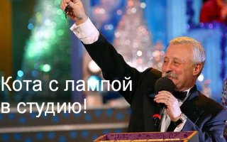 Наказать или похвалить?