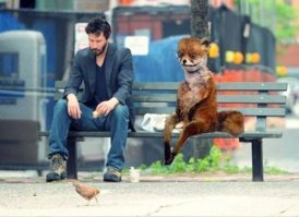 он совмещает снимки...