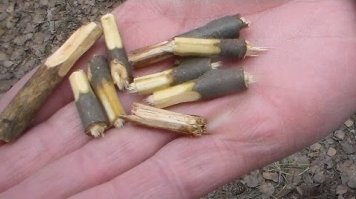 Чопик! и можно не только в качестве пепельницы