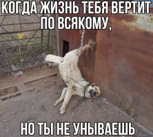 Картинки и комментарии сети