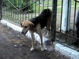 Скорее бы уже кибератака...