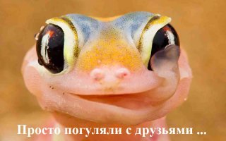 Смешные картинки и комментарии