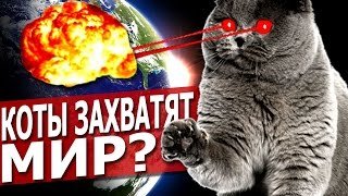 А могут и не стать , как и любое живое существо .
А ещё они могут захватить мир