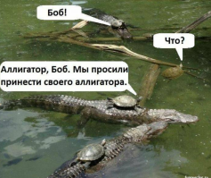 Свежая подборка демотиваторов, которые поднимут вам настроение