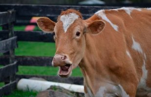 Смешные комментарии и высказывания из социальных сетей