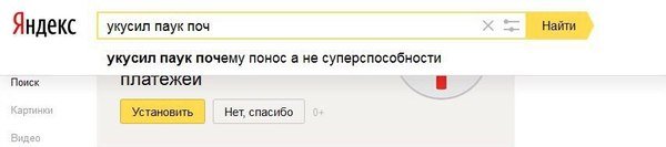Женщина попала в реанимацию из-за укуса маленького паучка