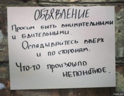 "Пропал кактус. Откликается на имя Терри". Смешные объявления о пропаже