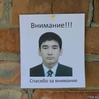 "Пропал кактус. Откликается на имя Терри". Смешные объявления о пропаже
