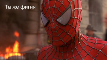 Женщина попала в реанимацию из-за укуса маленького паучка