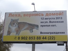 "Пропал кактус. Откликается на имя Терри". Смешные объявления о пропаже