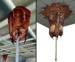 Подборка кубиков