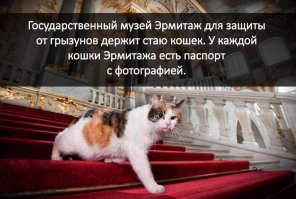 Надо своего балбеса тоже на работу куда нибудь отправить, кули он дома валяется, да жрать просит постоянно, все при деле будет)