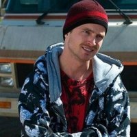 Полицаи лошки