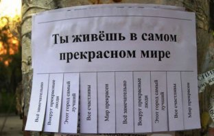 "Пропал кактус. Откликается на имя Терри". Смешные объявления о пропаже