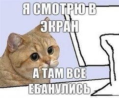 Когда дырка в голове не у питомца, а у его хозяина