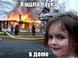 Женщина попала в реанимацию из-за укуса маленького паучка