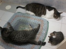 Не хватает только старшенького,он не смешивается с толпой)))