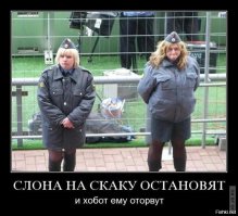 Просто п... полиция