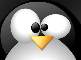 пингвинам простительно, там хрен разберешь все одинаковые и непонятно сдох партнер или сильно замерз