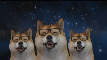 Бросил чтение на гороскопе для собак.