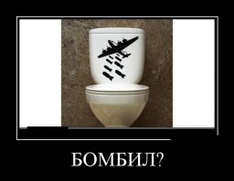 Туалетный юмор: когда ходить по нужде становится веселее