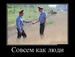 Просто п... полиция