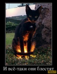 Свастика или случайные линии? Скандал вокруг интернет-покупки разгорается