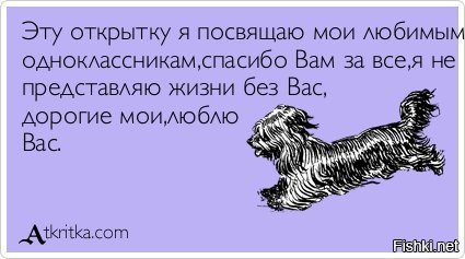 Устав от насмешек, студентка из Германии похудела на 50 кг