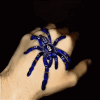 Красота какая