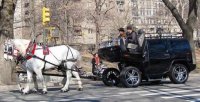 Телеги и тележки со всего мира