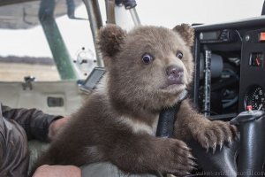 Стереотипы о России: ожидание и реальность