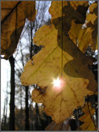 10 мест, где осень выглядит действительно великолепно