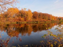 Подмосковье