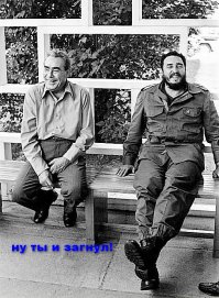 10 сумасшедших, но правдоподобных теорий поклонников о любимых фильмах