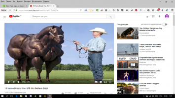 Нашёл вот это. Может это американский тяжеловоз или обычный качок?