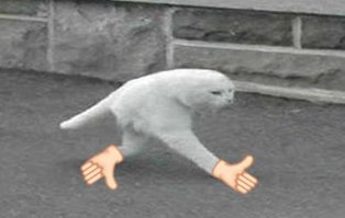 "Мои лапки!.."