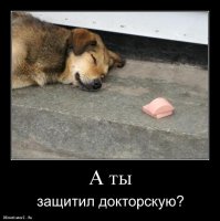 Смешные и интересные комментарии и картинки