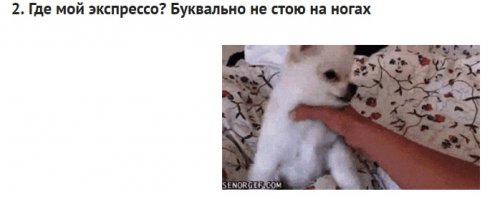 15 забавных гифок с животными под названием "Я не могу жить без кофе"