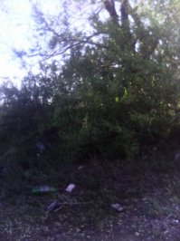 поглядела на фото и поняла, что моя  внучка  в 4 года начав щелкать фотоаппаратом куда гениальнее  этих "фотохудожников" вот ее первые снимки "я еду"." я иду".Натюрморт