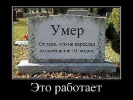Плюсовать или нет?