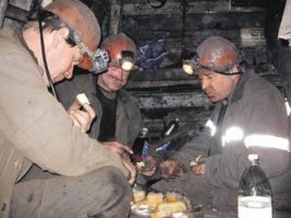 Попай — спасённая собака, чей Instagram сделал её звездой интернета